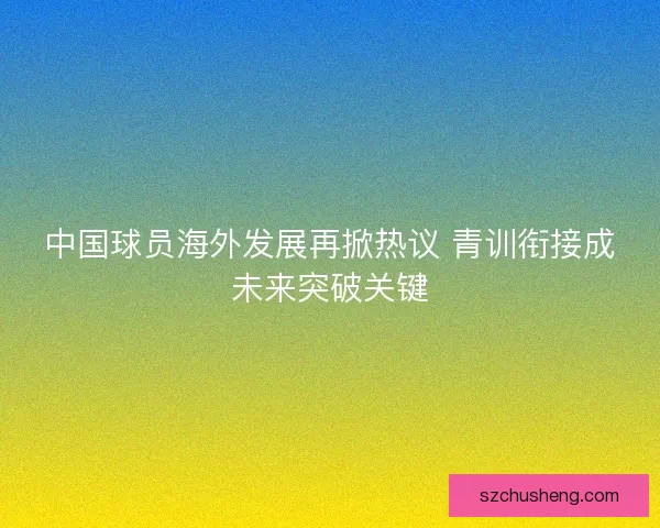 中国球员海外发展再掀热议 青训衔接成未来突破关键
