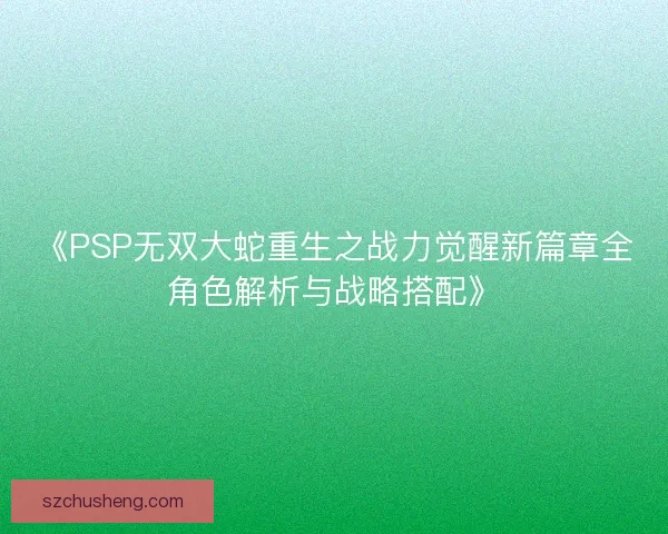 《PSP无双大蛇重生之战力觉醒新篇章全角色解析与战略搭配》