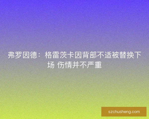 弗罗因德：格雷茨卡因背部不适被替换下场 伤情并不严重