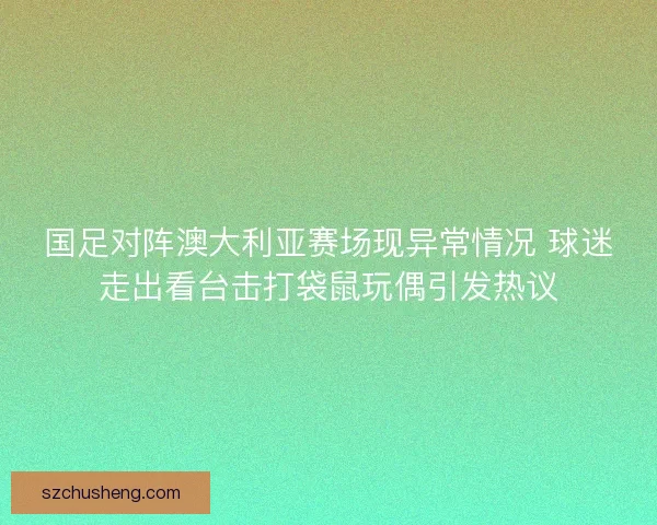 国足对阵澳大利亚赛场现异常情况 球迷走出看台击打袋鼠玩偶引发热议
