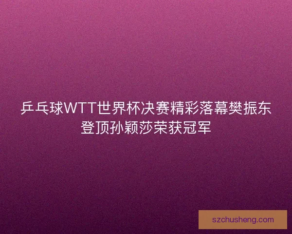 乒乓球WTT世界杯决赛精彩落幕樊振东登顶孙颖莎荣获冠军